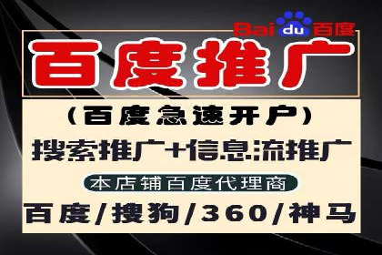 实战解析：SEO与SEM结合案例研究